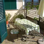 Rent 2 bedroom apartment of 45 m² in Sant'Agnello