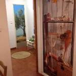 Rent 3 bedroom apartment in Lisbon