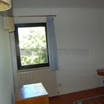 Rent 3 bedroom apartment of 65 m² in Perugia