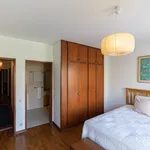 Rent 1 bedroom apartment in Porto