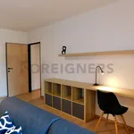 Rent 1 bedroom apartment of 49 m² in Pilsen