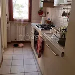 Rent 3 bedroom apartment of 50 m² in Viareggio