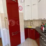 Rent 3 bedroom apartment of 70 m² in Anzio