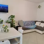 Rent 3 bedroom apartment of 71 m² in Roma