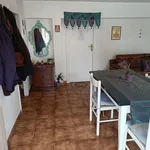 Rent 2 bedroom apartment of 55 m² in Roma