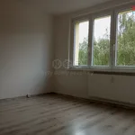 Rent 1 bedroom apartment in Chomutov