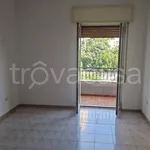 Rent 4 bedroom apartment of 200 m² in San Nicola la Strada