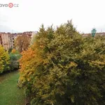 Pronajměte si 4 ložnic/e byt o rozloze 65 m² v Brno