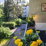 Rent 1 bedroom apartment of 56 m² in Berlin