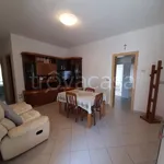 Rent 3 bedroom apartment of 50 m² in Misano Adriatico