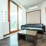 Rent 1 bedroom house of 44 m² in Kraków