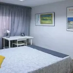 Rent 5 bedroom apartment in Valencia