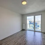 Rent 2 bedroom apartment in Pilsen