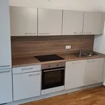 Miete 3 Schlafzimmer wohnung von 68 m² in Vienna