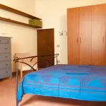 Rent 1 bedroom apartment in Florence