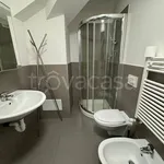 Rent 1 bedroom apartment of 20 m² in Torino