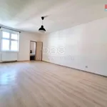 Rent 1 bedroom apartment of 54 m² in Plzeň