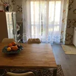 Rent 5 bedroom apartment of 150 m² in Reggio nell'Emilia