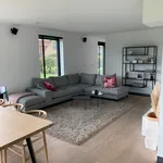 Huur 3 slaapkamer huis van 690 m² in Sijsele