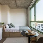 Rent 1 bedroom apartment in barcelona