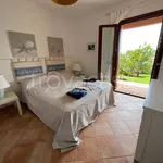 Rent 3 bedroom apartment of 80 m² in Arzachena