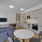 Rent 2 bedroom apartment of 50 m² in Prague