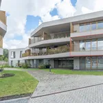 Rent 2 bedroom apartment in Vosselaar