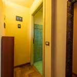 Rent 1 bedroom apartment in Florence