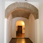 Rent 1 bedroom apartment of 32 m² in Roma