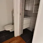 Appartement de 45 m² avec 3 chambre(s) en location à Paris