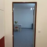 Rent 1 bedroom apartment in Nový Jičín