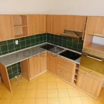 Pronajměte si 1 ložnic/e byt o rozloze 48 m² v Pilsen