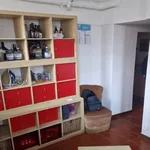 Rent 4 bedroom apartment of 80 m² in Milano