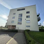 Rent 2 bedroom apartment in Svitavy