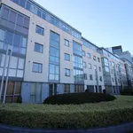 Rent 2 bedroom apartment in Dublin