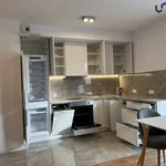 Rent 2 bedroom apartment of 44 m² in Chorzów