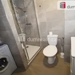 Rent 3 bedroom apartment of 100 m² in Mariánské Lázně