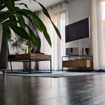 Rent 1 bedroom apartment in berlin