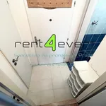 Rent 1 bedroom apartment of 29 m² in Capital City of Prague