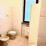 Rent 1 bedroom apartment of 50 m² in Legnano