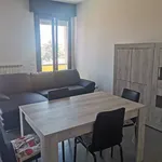 Rent 1 bedroom house of 20 m² in Bologna