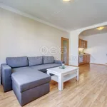 Rent 2 bedroom apartment of 47 m² in Plzeň