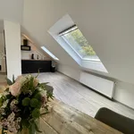 Rent 1 bedroom apartment of 65 m² in Dortmund