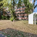 Rent 1 bedroom apartment of 26 m² in Kawalerka do wynajęcia