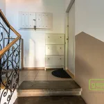 Rent 2 bedroom apartment in Praha 3