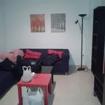 Rent a room in Alicante']