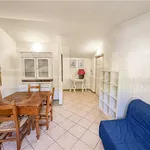 Rent 2 bedroom apartment of 50 m² in Perugia