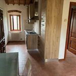 Rent 2 bedroom apartment of 45 m² in Florence