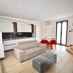 Rent 2 bedroom apartment of 50 m² in Novara