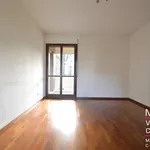 Rent 3 bedroom apartment of 124 m² in San Donato Milanese